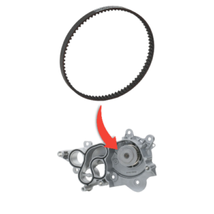 WATER PUMP BELT - VW POLO TSI